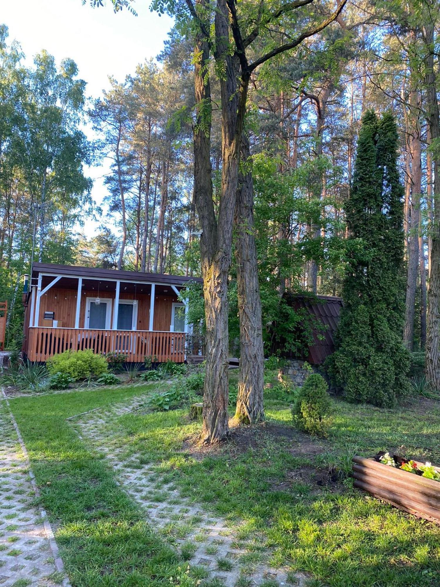 Brzozowy Zakatek Holiday home Krolewo